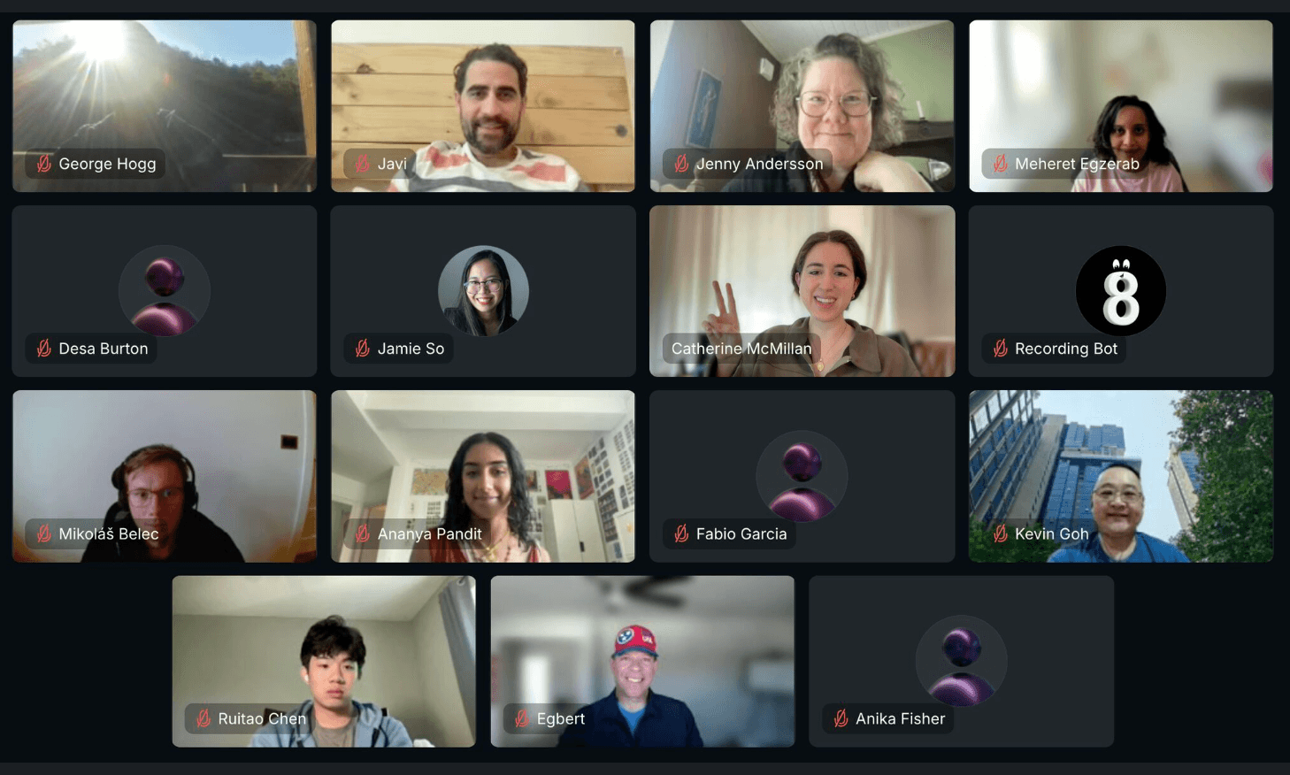 A video call grid of an online networking event, thirteen attendees in tiles.